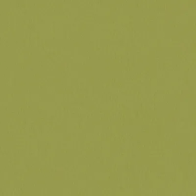 Produktbild von A.S. Creation | Art of Eden | 377493 | Vliestapete | Einfarbig | 10.05 m x 0.53 m | Grün