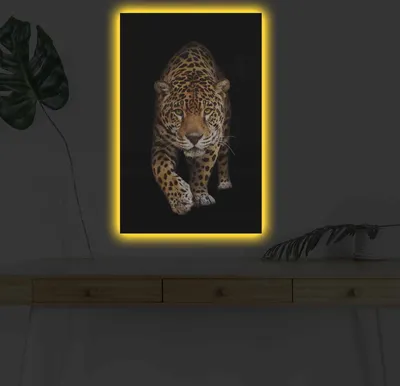 Produktbild von Opviq, 4570DHDACT- SHN4368, Bunt, Leinwandbilder, 45 x 70 cm, 100% Wildleder -Leinwand