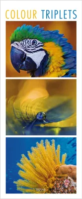 Produktbild von Korsch Wandkalender Colour Triplets 2027 mit Detailfotografien und neutralem Kalendarium