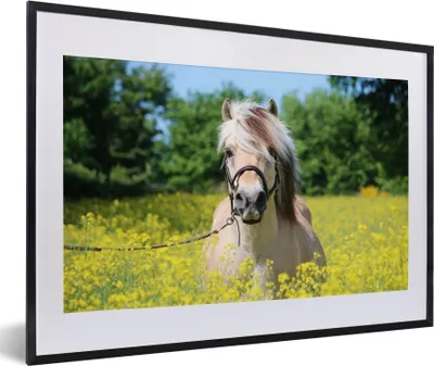 Produktbild von MuchoWow® MuchoWow® Gerahmtes Poster Pferd - Blumen - Gelb 60x40 cm - Poster mit zchwarzem Bilderrahmen - Schlafzimmer - Plakat in Rahmen - Drucken