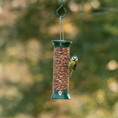 Produktbild von CJ Wildlife Futtersäule Vögel - Erdnusssäule aus Metall