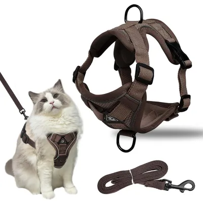 Immagine prodotto di Collare per gatti con guinzaglio, antiscappamento, regolabile, riflettente, traspirante, taglia L