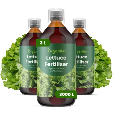 Obrázek produktu pro Šalát Tekuté Hnojivo 3x1 L – 2-1-8 NPK – Pro Šalát – Podporuje Chrumkavé, Aromatické Listy & Rovnomerný Růst – Organifer