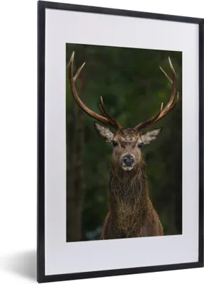 Produktbild von MuchoWow® Gerahmtes Poster Hirsch - Geweih - Natur 40x60 cm - Poster mit Schwarzem Bilderrahmen Wandposter Rahmen Foto Bilder - Poster in Rahmen