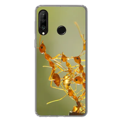 Produktbild von MuchoWow® Handyhülle Schutzhülle Hülle für Huawei P30 Lite Ameisen - Orange - Tiere Silikon Softcase Handy Hülle - Handyhülle