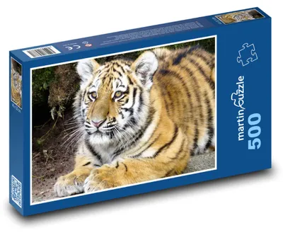 Obrázek produktu pro martinpuzzle - Puzzle 500 - Tygr - mládě