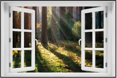 Produktbild von Wallario Wandbild mit Fenster-Illusion: Sonnenstrahlen im Herbstwald, Größe: 61 x 91,5 cm, Poster mit schwarzem Aluminiumrahmen