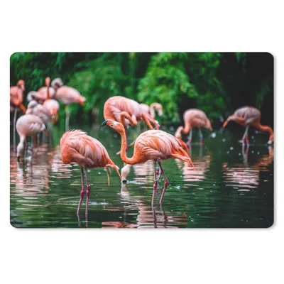 Produktbild von MuchoWow® Mauspad Mousepad Flamingo - Tropisch - Vogel - Wasser - Rosa 27x18 cm - Mousepads - Maus Mat - Pad - Mausunterlage - Büroartikel - Desk Matten