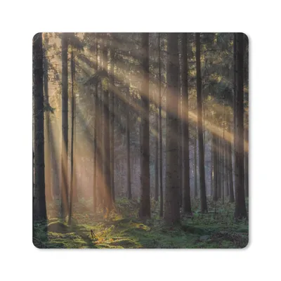 Produktbild von MuchoWow® Mauspad Mousepad Bäume - Wald - Sonne - Pflanzen 20x20 cm - Mousepads - Maus Mat - Pad - Mausunterlage - Desk Mat - Bureauartikeln