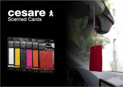 Produktbild von Mr&Mrs Cesare Duftkarte JCESTES001 Duft für Auto, Frischluft, EVA, Weiß