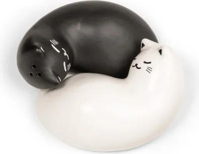Obrázok produktu pre Kikkerland Purrfect soľnička a korenička v tvare mačky