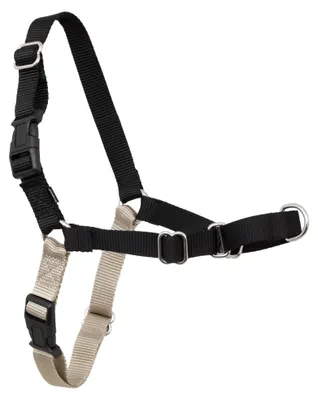 Obrázok produktu pre Postroj Easy Walk od spoločnosti PetSafe.
