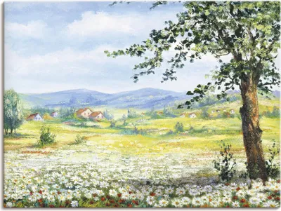 Produktbild von ARTland Leinwandbild Margeritenfeld Größe: 40x30 cm