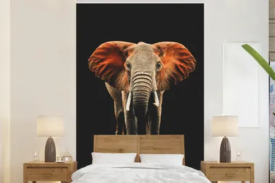 Obrázek produktu pro MuchoWow® Fototapety do obývacího pokoje nebo ložnice tapety vinylové motivy tapety Slon - černý - oranžový 170x260cm