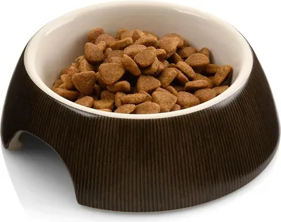 Zdjęcie produktu dla Miska ceramiczna dla kota | CanadianCat | 13 cm