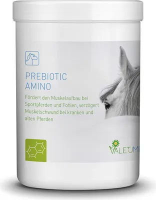 Zdjęcie produktu dla Valetumed Prebiotic Amino, 750 g - 750 gramów