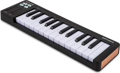 Immagine prodotto di Controller MIDI compatto Arturia MicroLab mk3 nero