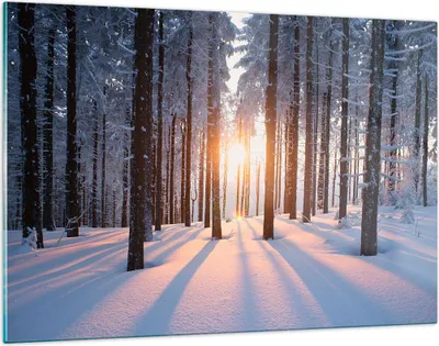 Produktbild von Bilder auf glas - Wald Winter Schnee - 120x80cm - Glasbilder - Wandbilder - Kunstdruck - zum Aufhängen bereit - Wanddekoration aus Glas - Glas Bilder - Wandbild auf Glas - Einteilig - GAA120x80-3629
