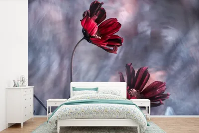 Produktbild von MuchoWow® Fototapete für Wohnzimmer oder Schlafzimmer Wandtapete Vinyl Motivtapete Blumen - Rot - Pflanzen - Natur - 600x400 cm - Vinyltapeten
