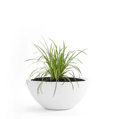 Produktbild von PFLANZWERK® Pflanzschale Pflanzkübel BOWL Ø 45cm WEISS Premium Blumenschale mit Lotus-Effekt Fiberglas - Handgefertigt - Rund - Frostbeständig