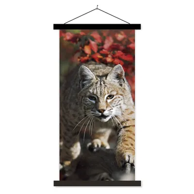 Produktbild von MuchoWow® Textilposter Luchs - Baumstamm - Herbst 90x180 cm mit schwarzem Rahmen - Dekoration Wohnzimmer