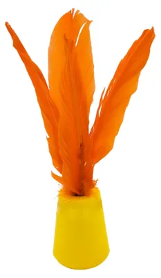 Image de Indiaka Jaune/Orange
