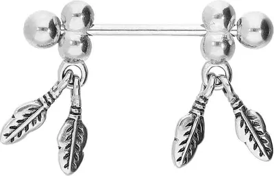 Produktbild von Brustwarzenpiercing, Zungenpiercing, Intim-Piercing Chirurgenstahl Nippelpiercing FEDERN  Silber Stablänge: 14mm