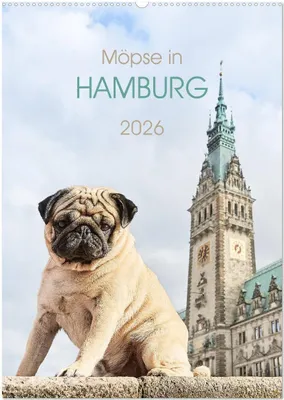 Produktbild von Möpse in Hamburg (Wandkalender 2026 DIN A2 hoch), CALVENDO Monatskalender