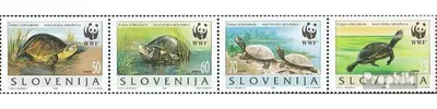 Produktbild von Briefmarken Slowenien 1996 Mi 131-134 Viererstreifen (kompl.Ausg.) postfrisch Sumpfschildkröte