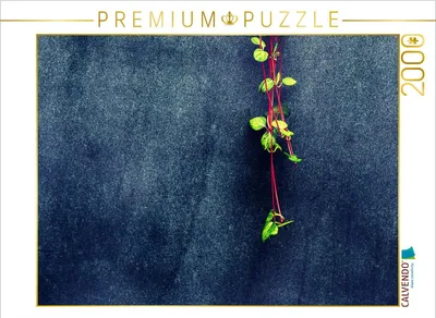 Produktbild von CALVENDO Puzzle Ein Motiv aus dem Kalender Mauerblümchen - Poesie im Alltäglichen 2000 Teile Puzzle quer | 2000 Teile Lege-Größe 90x67cm Foto-Puzzle für glückliche Stunden