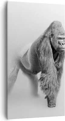 Produktbild von Bild auf Leinwand - Leinwandbild - Orang-Utan Tier - 55x100cm - Wand Bild - Wanddeko - Wandbilder - Leinwanddruck - Bilder - Kunstdruck - Wanddekoration - Leinwand bilder - Wandkunst - PA55x100-4105