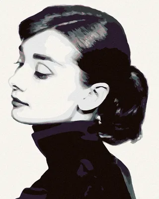 Immagine prodotto di Zuty - Dipingere con i numeri - AUDREY HEPBURN I, 40x50 cm, senza cornice e senza tela