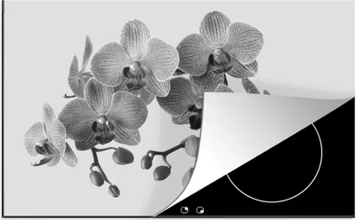 Produktbild von KitchenYeah© Herdabdeckplatte Orchideen auf grauem Hintergrund - schwarz und weiß , 80x52cm, Küche Deko, Glaskeramikkochfeld Herdabdeckung, Abdeckplatte fùr Kochfeld