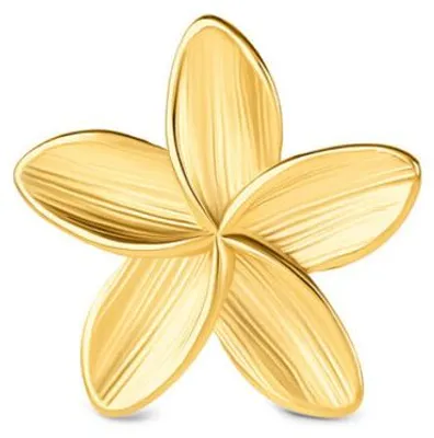 Zdjęcie produktu dla Jeden pin, model OJPFA01G