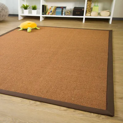 Produktbild von Sisal Teppich Brazil mit Bordüre Farbe braun dunkel braun 100% Sisal, Größe: 200x290 cm