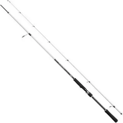 Produktbild von Mitchell Tanager Sw Spinnrute Weiß 2.72 m / 100-200 g Weiß 2.72 m
