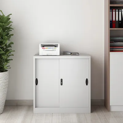 A light gray metal filing cabinet with two sliding doors, a printer on top, and a potted plant to the left.