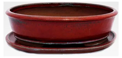 Produktbild von Bonsai-Schale mit Unterteller Größe 5 - rot - oval - L 31cm - B 24,5cm - H 8,5cm