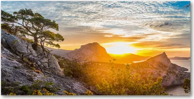 Produktbild von Tulup® Glas-Bild - 100x50 -Wandkunst - Wandbild hinter gehärtetem Sicherheitsglas  - Landschaften - Sonnenuntergang - Gelb