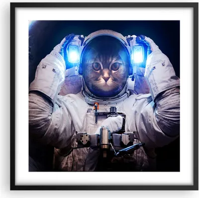 Produktbild von Gerahmtes Poster - Schwarzer Rahmen - Kosmonaut Katze - 50x50 cm - Wand Bild - Wanddeko - Wandbilder - Kunstposter - Wandposter - Bilderrahmen - Bilder - Kunstdruck - Wandbild - P2BAC50x50-3734