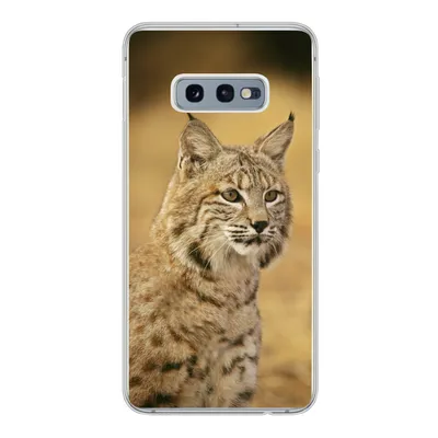 Produktbild von MuchoWow® Handyhülle Schutzhülle Hülle für Samsung Galaxy S10e Luchs - Braun - Gras Silikon Softcase Handy Hülle - Handy
