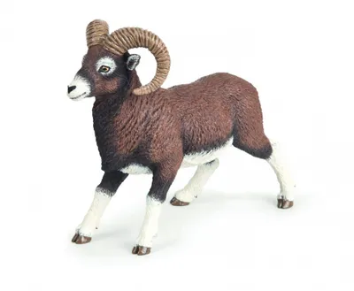 A toy figurine of a mouflon sheep standing on a white background.