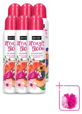 Image de 6 déodorants Sence, parfum floral et pamplemousse - Frais et fruité - 150 ml - Pack économique - 6 pièces