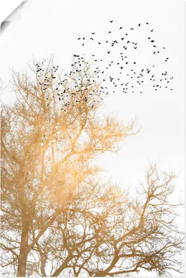 Produktbild von ARTland Poster Goldener Himmel Größe: 20x30 cm