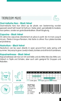 Produktbild von Kapuzinerkresse Black Velvet | Kapuzinerkressesamen von Hortitops