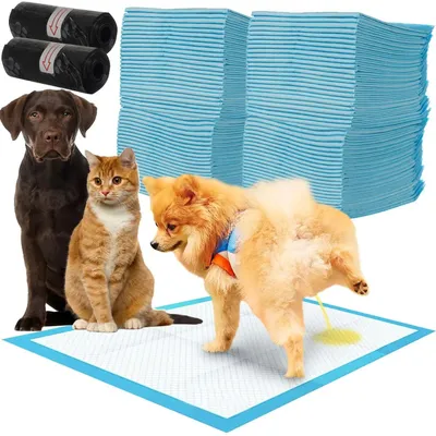 Immagine prodotto di Tampone igienico assorbente - 100 pz. + borse
