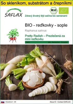 Obrázok produktu pre SAFLAX Kultivačný set - BIO - reďkovky - sople - Raphanus sativus - 100 Semená - S mini skleníkom, pestovateľským substrátom a 2 črepníkmi