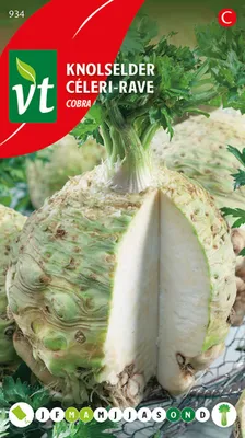 Produktbild von Sellerie Celeriac Cobra Samen - Ca. 1 gr | VT_934