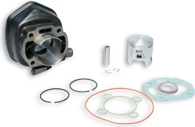 Obrázek produktu pro Litinový válec Malossi D 47 LC pro 318284