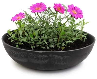 Immagine prodotto di Vaso rotondo bulboso da 30 cm per esterni, nero marmorizzato